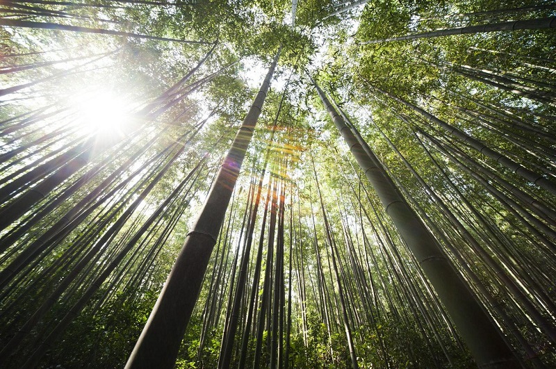 空气消毒机主要应用在哪些场景？购买时需要注意哪些？