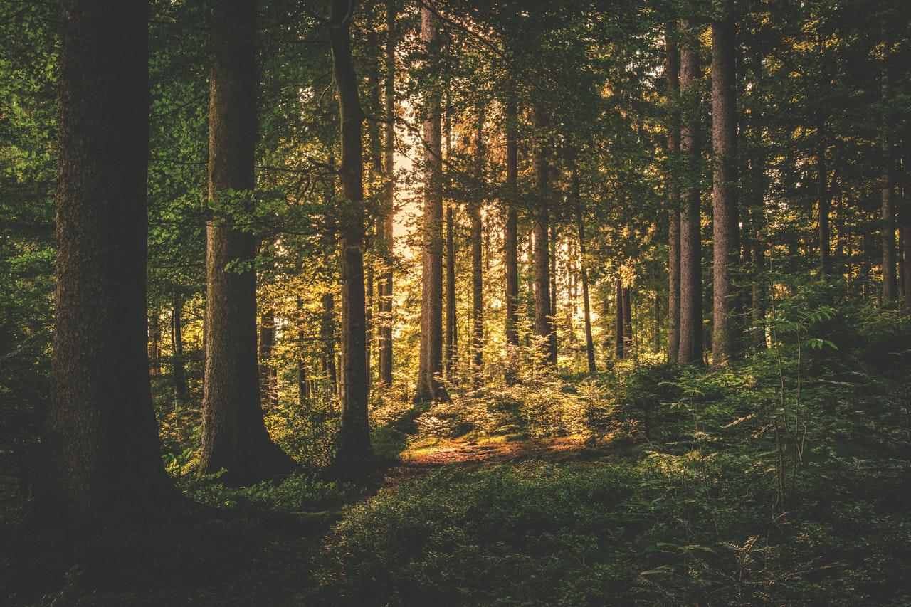 空气消毒机在日常使用要做哪些保养？它能应用在哪些场景？