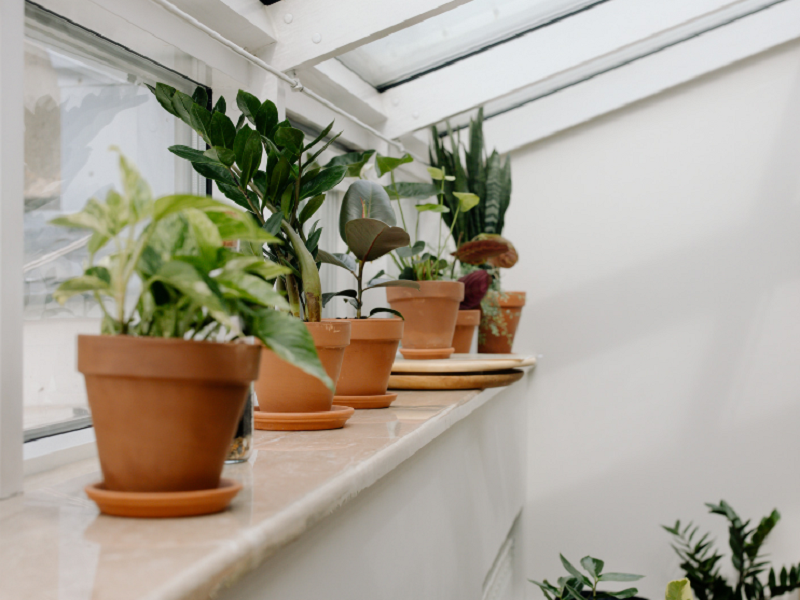 空气净化器厂家