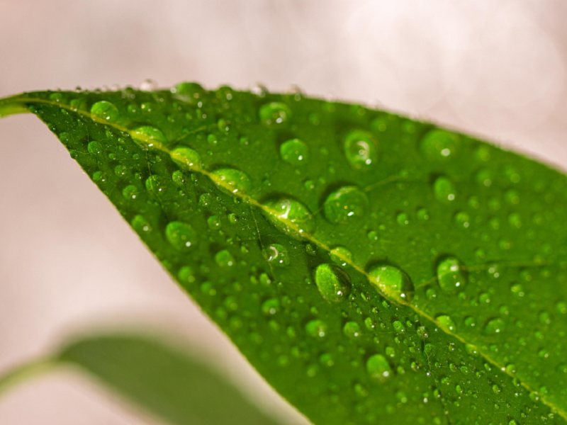 空气净化加湿器厂家