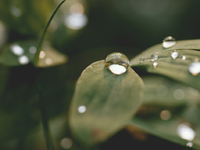 空气净化加湿器厂家