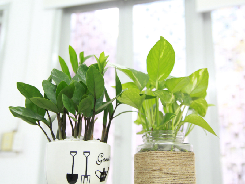 问:空气净化器到底能净化哪些空气污染物?