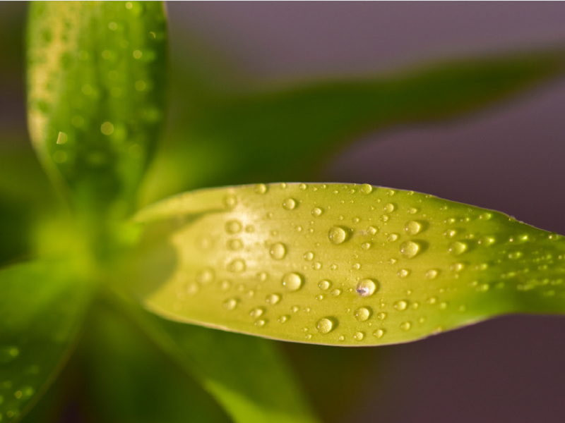 探讨:空气净化加湿器可以处理哪些空气污染物