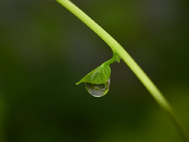 请问空气净化加湿器是真实用还是智商税陷阱？