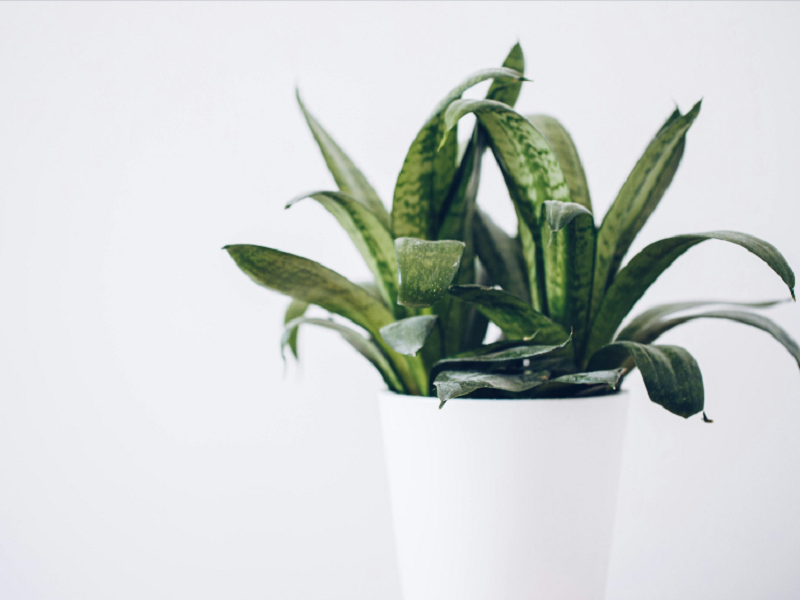 空气净化器厂家