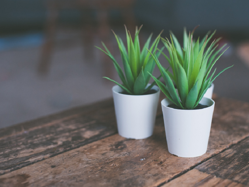 空气净化器厂家