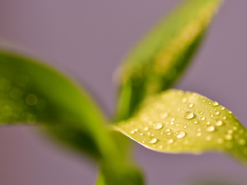 空气净化加湿器厂家