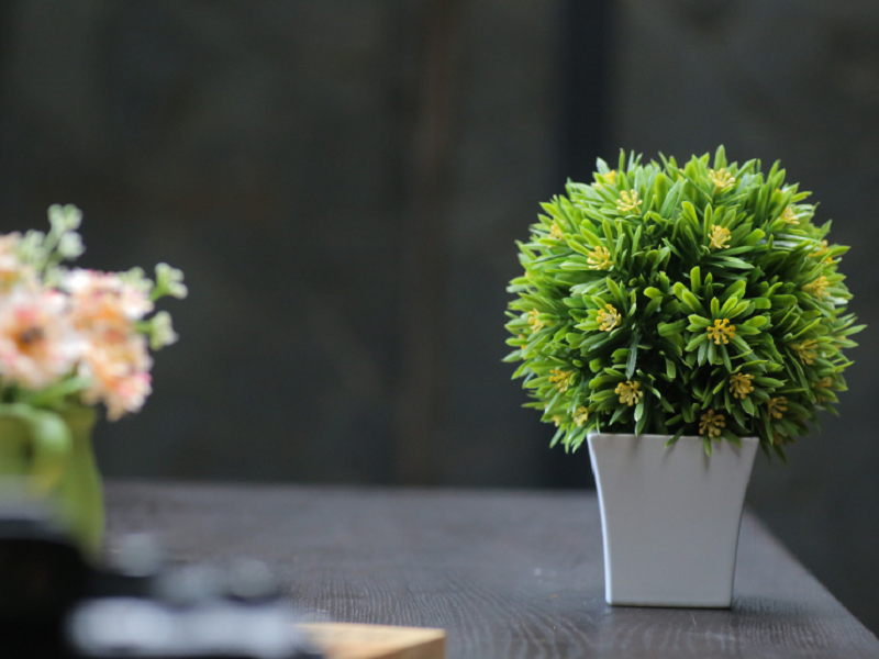 避开一线品牌，教你怎么选高性价比空气净化器