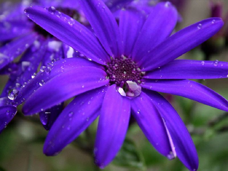 空气净化加湿器厂家