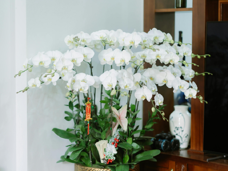 空气净化器厂家