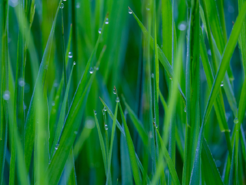 空气净化加湿器厂家