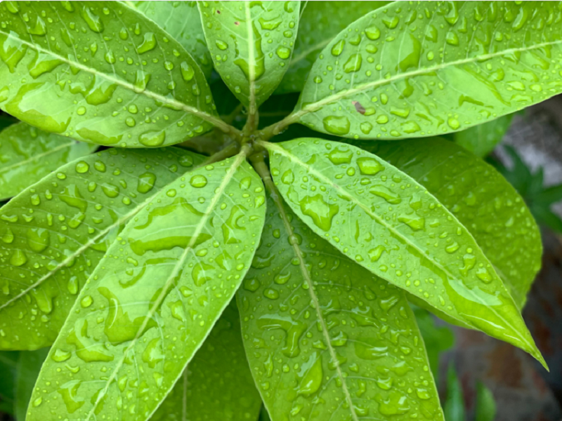 揭秘：空气净化加湿器为何不能开窗使用？