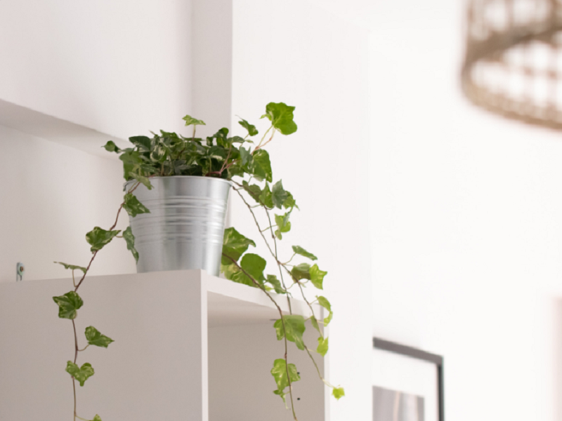 空气净化器厂家