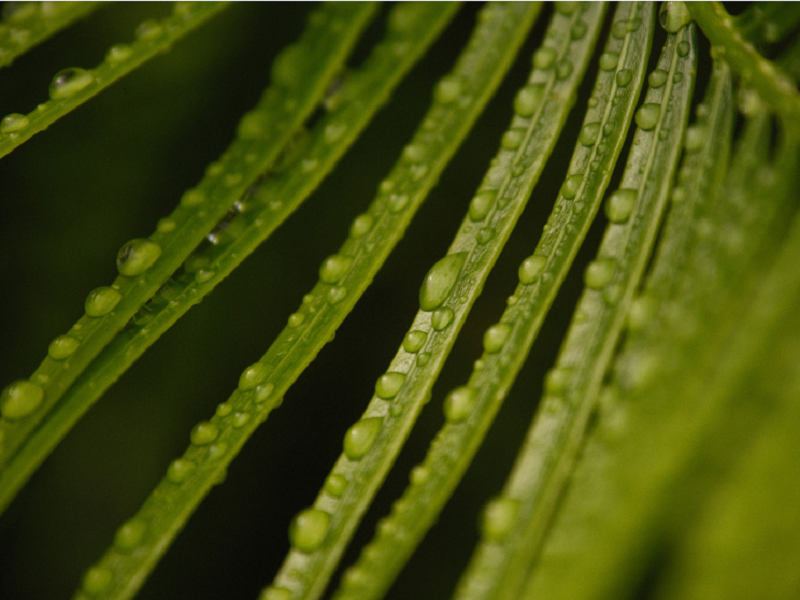 空气净化加湿器厂家