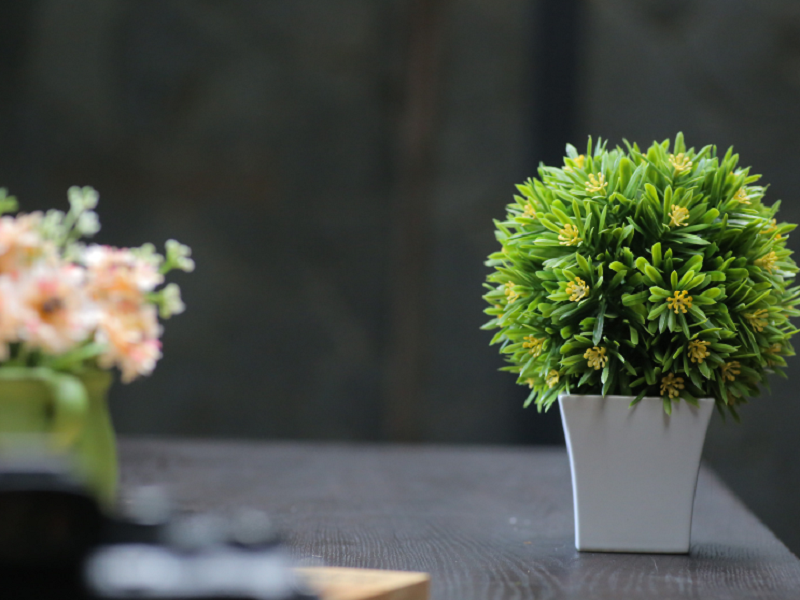 空气净化器厂家