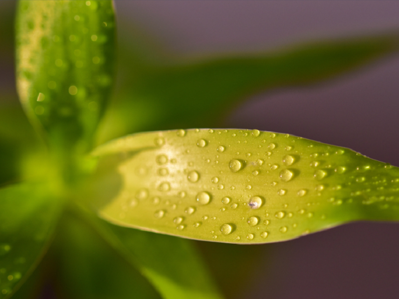 空气净化加湿器厂家