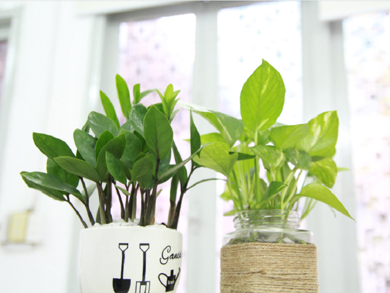 空气净化器厂家