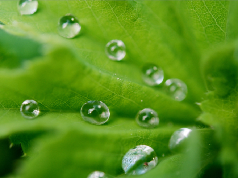 空气净化加湿器厂家