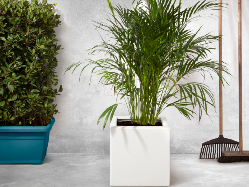 为什么有人说空气净化器是隐形健康杀手？