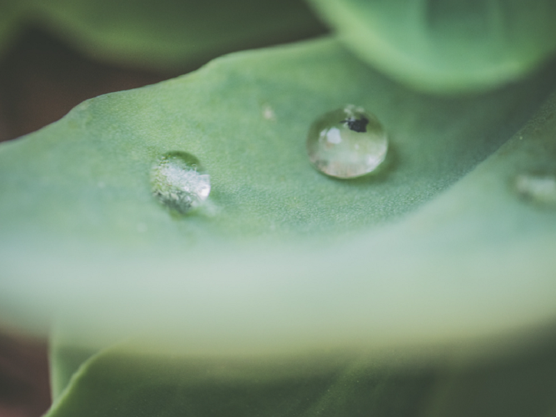 空气净化加湿器厂家