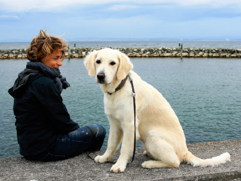 问：到底怎样的宠物空气净化器才有性价比？
