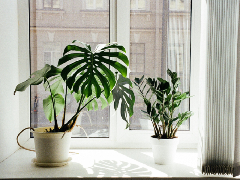 空气净化器厂家