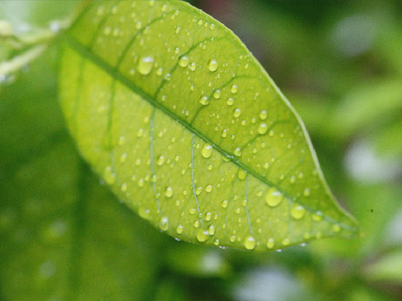 空气净化加湿器每日使用时长究竟多长时间？