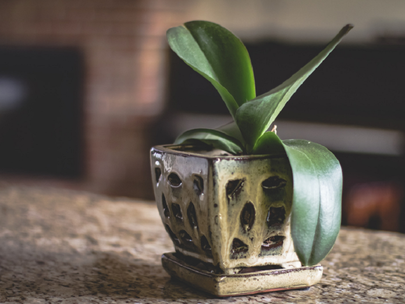 空气净化器厂家