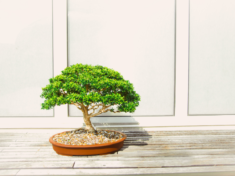 空气净化器厂家