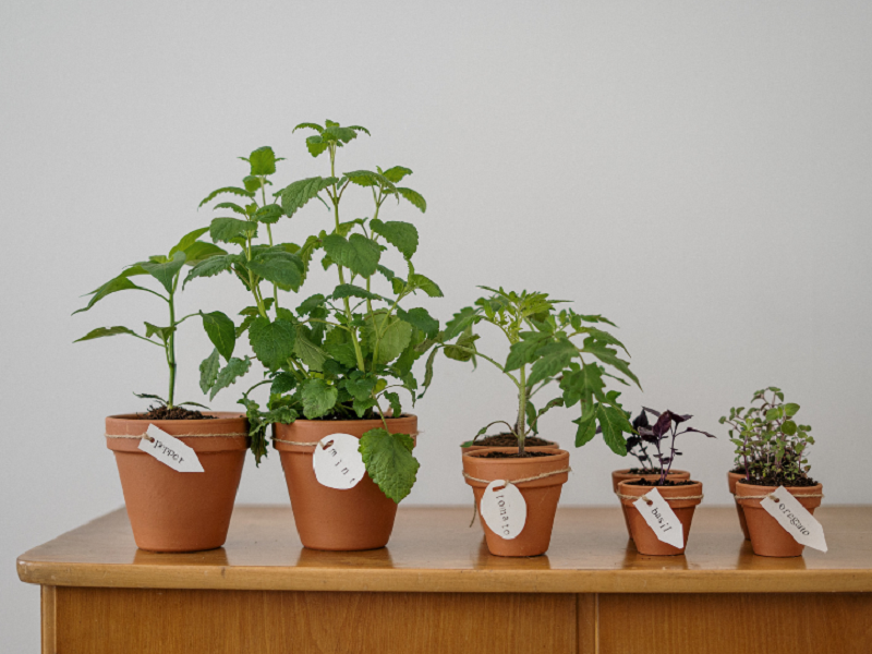 空气净化器能除甲醛吗？真的有效果吗？