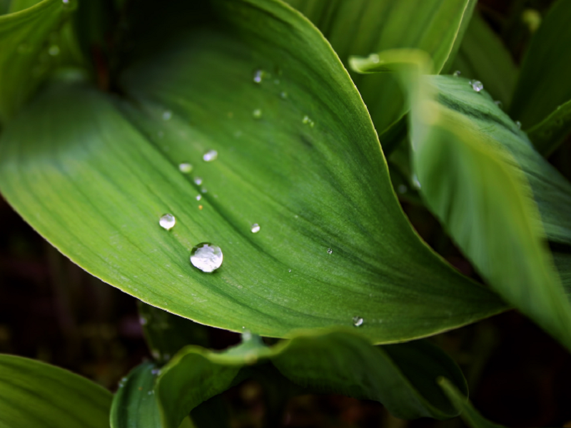 空气加湿净化器既能加湿又能净化空气是真的吗？
