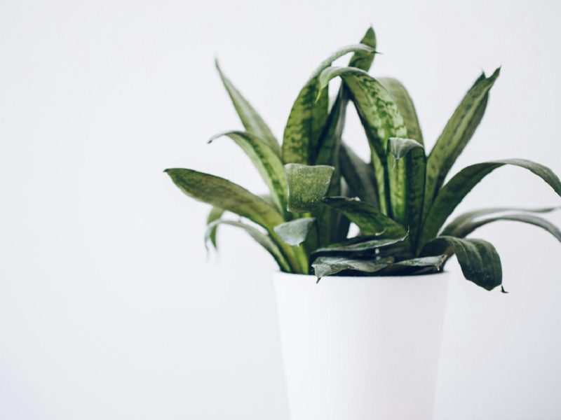 空气净化器可以一直开着吗？利弊都在这！