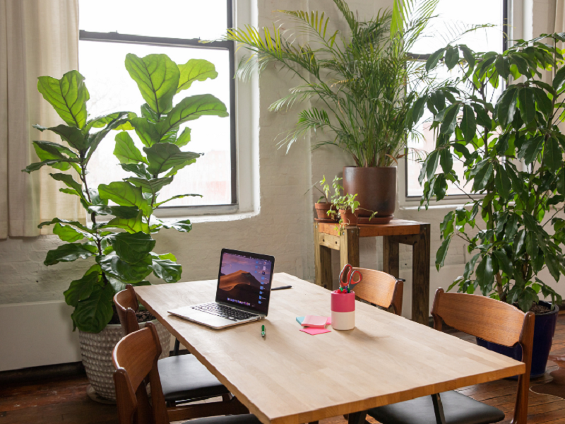 空气净化器这3个伪功能，90%的人都被忽悠了