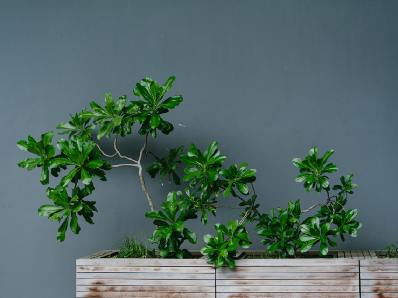 空气净化器厂家