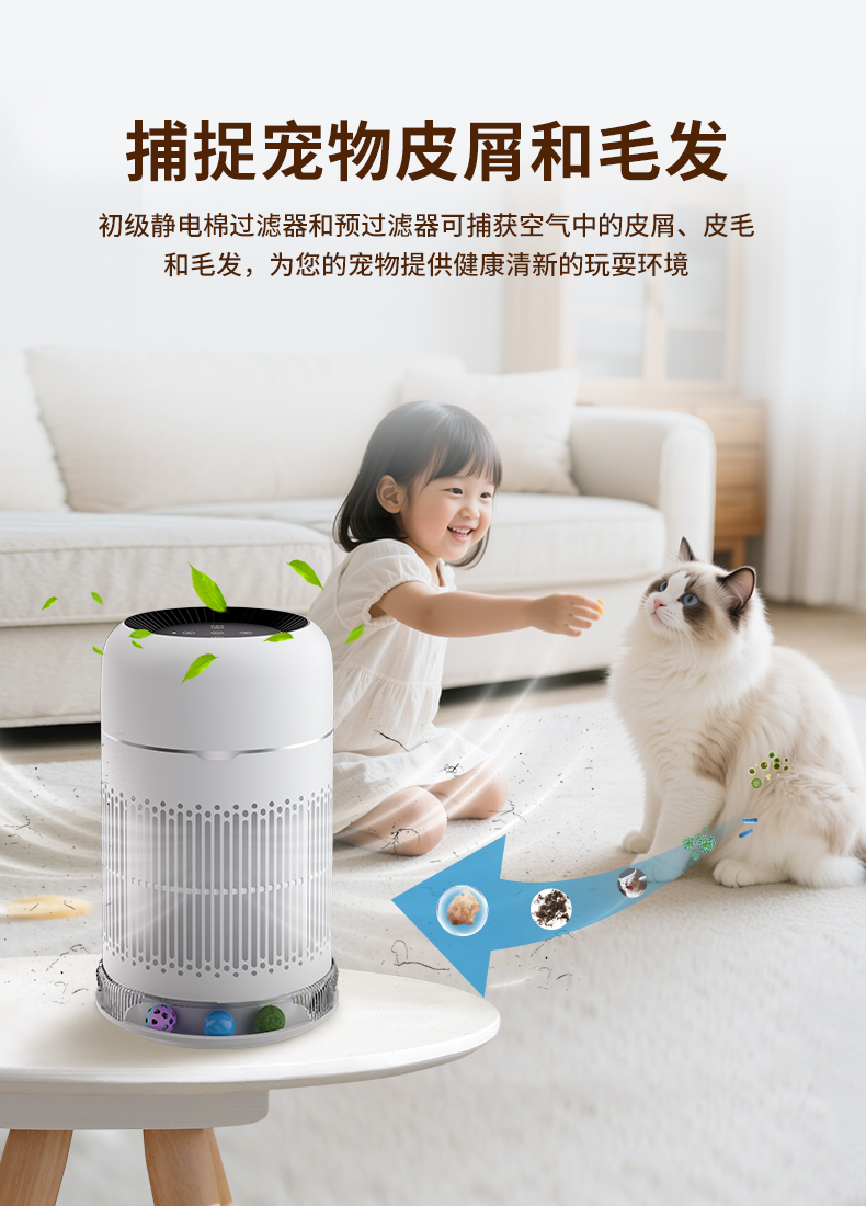 宠物净化器厂家