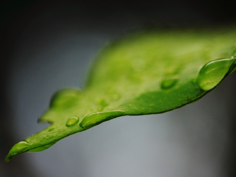 空气净化加湿器一直开机，为啥效果越来越差？